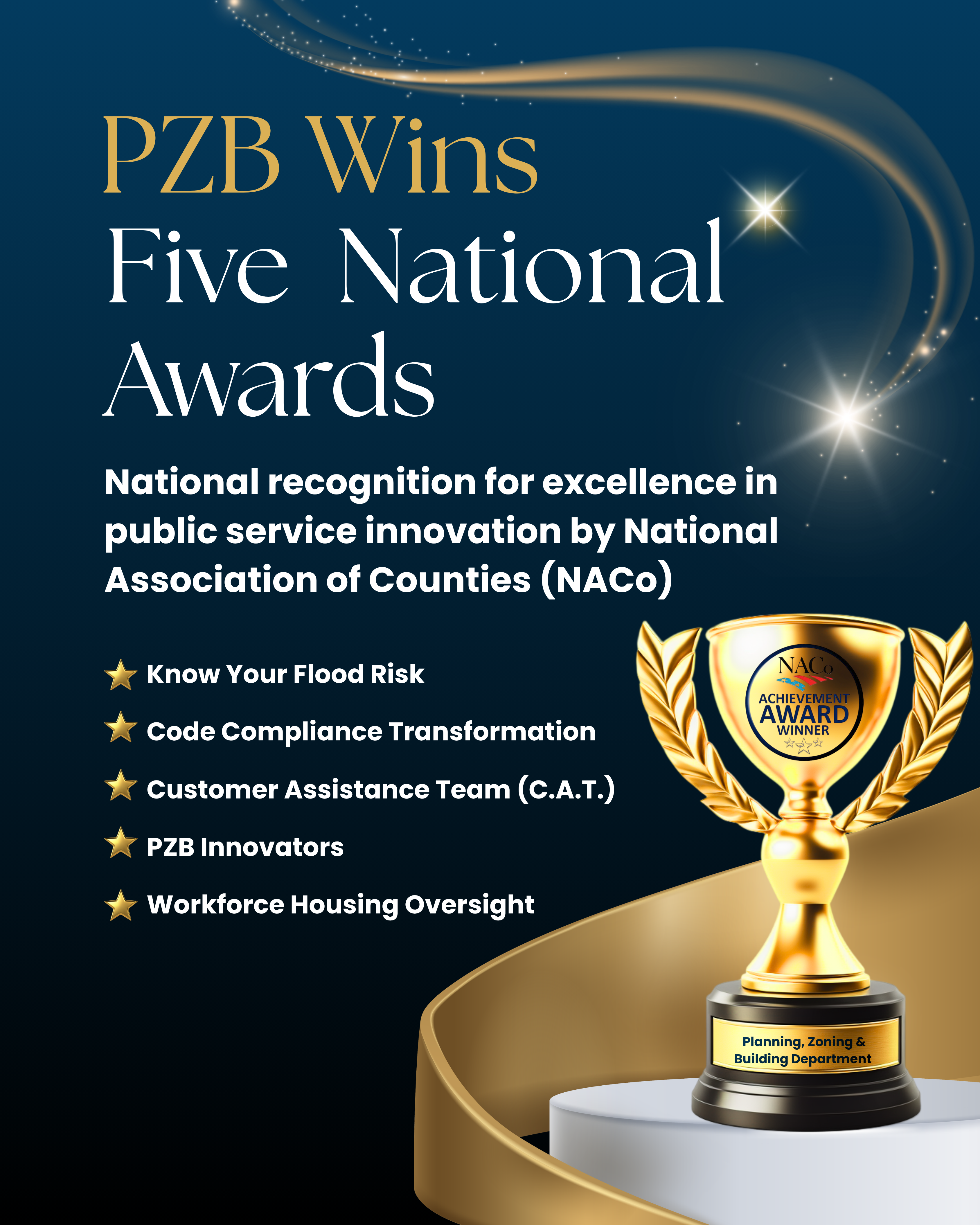 PZB Wins  Five National Awards  National recognition for excellence in public service innovation by NaCo